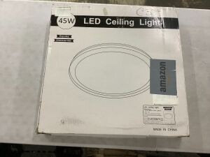 LED Ceiling Light 