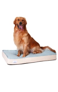 LightEase Memory Foam Orthopedic Pet Bed, Medium 34" x 22" x 4" - NEW