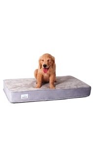 LightEase Memory Foam Orthopedic Pet Bed, Medium 34" x 22" x 4" - NEW