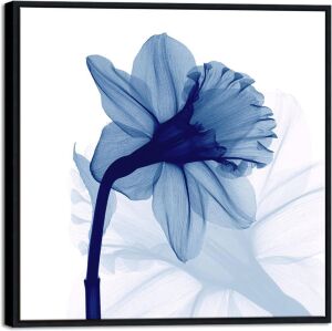 Pyradecor Black Framed Blue Flower Canvas 