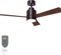 PolyEco 48" Ceiling Fan with Light and Remote&nbsp;