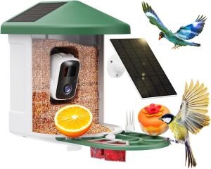 Bird Feeder with Camera with AI Identify Bird Species Solar Panel, Smart Bird House with Cam