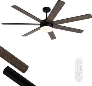 Viossn 62 Inch Ceiling Fan with Light