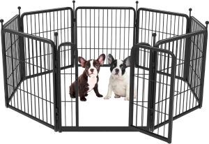  FXW Rollick Dog Playpen, 24" Height, 8 Panels 