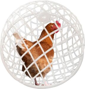 Chicken Orb Cage, 3 pc 