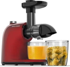 Masticating Slow Juicer