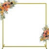 Square Metal Arch Backdrop Stand