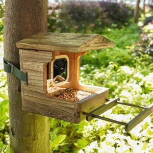 Natural Wooden Bird Feeder for BLINK XT3/XT2/XT Cam - Camera Not Included 