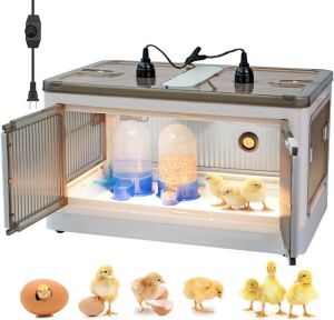 Chicken Brooder Box 