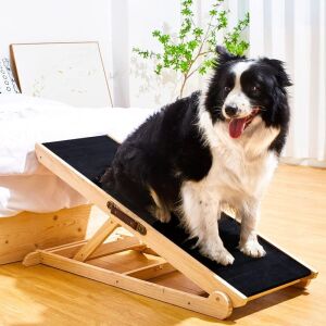 Woohoo Dog Ramp with Non-Slip Rubber Mat, 41" Long, Adjustable from 14" to 24"