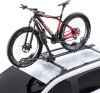 Car Rooftop Mount Upright Bike Rack