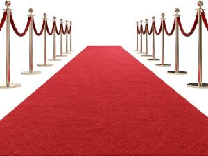 HOMBYS Extra Thick Red Carpet Runner, 3' x 15' 