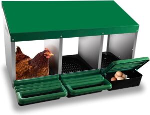 Eggluuz Chicken Nesting Box, 3 Holes 