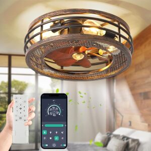 Caged Ceiling Fan with Lights Remote Control