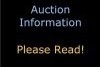 AUCTION INFORMATION - PLEASE READ!