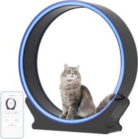 Smart Cat Wheel