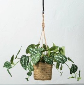 Hearth & Hand  Lot of 4 Hanging Pothos Bush $14.99 x 4 $59.96