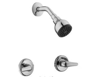 Glacier Bay Aragon Double Handle 1-Spray Shower Faucet 1.75 GPM in Chrome