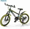 Flying Pigeon 20" Mountain Bike High Carbon Steel Frame 