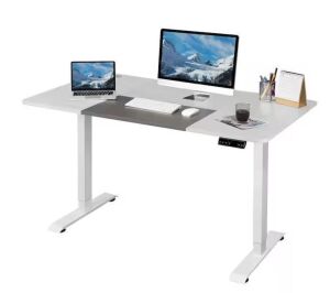 LACOO 55 in. White Electric Standing Desk Height Adjustable Wooden Workstation