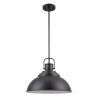 Home Decorators Collection Shelston 16 in. 1-Light Black Farmhouse Pendant Light Fixture with Metal Shade