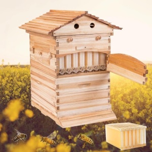 Wooden Beekeeping House Beehive Boxes with 7 PCS Auto Bee Hive Frame