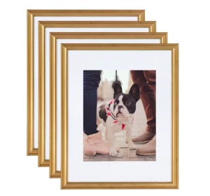 Kate and Laurel Adlynn 11 in. x 14 in. matted to 8 in. x 10 in. Gold Picture Frames, Set of 4