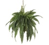 Nearly Natural Large Artificial Boston Fern Hanging Basket
