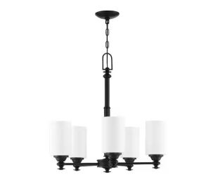 Dardyn 5-Light Espresso Finish w/Frost White Glass Transitional Chandelier 