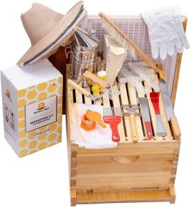  Honey Lake 8 Frame Bee Hive Starter Kit and Beekeeping Supplies