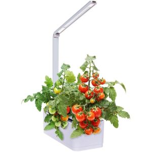 Case of (6) Mindful Design Hydroponic Indoor Herb Garden Kit, Multispectrum LED Desktop Growing Lamp