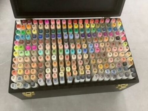 Alcohol-Based Marker Pen Kit w/ Brush & Chisel Tip, Carrying Case
