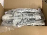 Box of Posable Skeletons 2ct