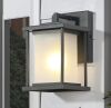 Uolfin Modern Black 1-Light Rectangle Industrial Outdoor Wall Light with Frosted Glass Shade