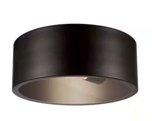 Globe Electric&nbsp;Teagan 1-Light Dark Bronze Outdoor Indoor Flush Mount Ceiling Light