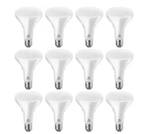 ENERGETIC LIGHTING 75-Watt Equivalent BR30 LED Recessed Light Bulb Dimmable 900 Lumens Daylight 5000K, 12-Pack