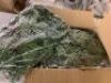 23.62-in W x 15.74-in H Silk Green Leaf Panels, 12 pc&nbsp; - 2