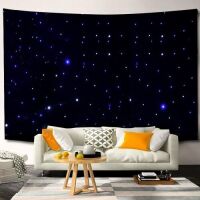 LED Star Light Curtain Backdrop w/ Remote 9.84' x 13.12'&nbsp;