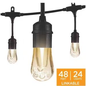 Enbrighten 24 Bulbs 48 ft. Outdoor/Indoor Black Vintage LED String Lights, Acrylic Edison Bulbs