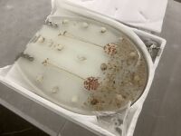 Elongated Resin Toilet Seat&nbsp;