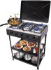Portable 5 Burner Gas Stove 