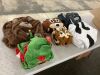 Lot of (6) Funziez! Adult Onesies - See Pics 