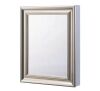 Glacier Bay 24 in. W x 30 in. H Rectangular Medicine Cabinet with Mirror
