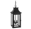 Hampton Bay Flaxton 19.25 in. 2-Lights Black Hanging Outdoor Pendant Light with Clear Glass 