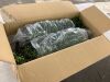 Nearly Natural 3 ft. UV Resistant Artificial Boxwood Plant with Integrated Ground Stake, Set of 2 - 2