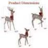3-Piece Lighted Christmas Deer Set Outdoor Decor with LED Lights - 2