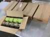 Lot of (5) Wasp and Yellow Jacket Trap, 4 Pack  - 7