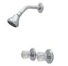 HOMEWERKS 2-Handle 1-Spray Shower Faucet Only in Polished Chrome