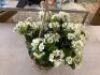 Nearly Natural&nbsp;Indoor/Outdoor UV Resistant White Geranium Hanging Basket Artificial Plant - 3