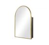 Dovelina 24 in. W x 36 in. H Arched Gold Recessed/Surface Mount Medicine Cabinet with Mirror